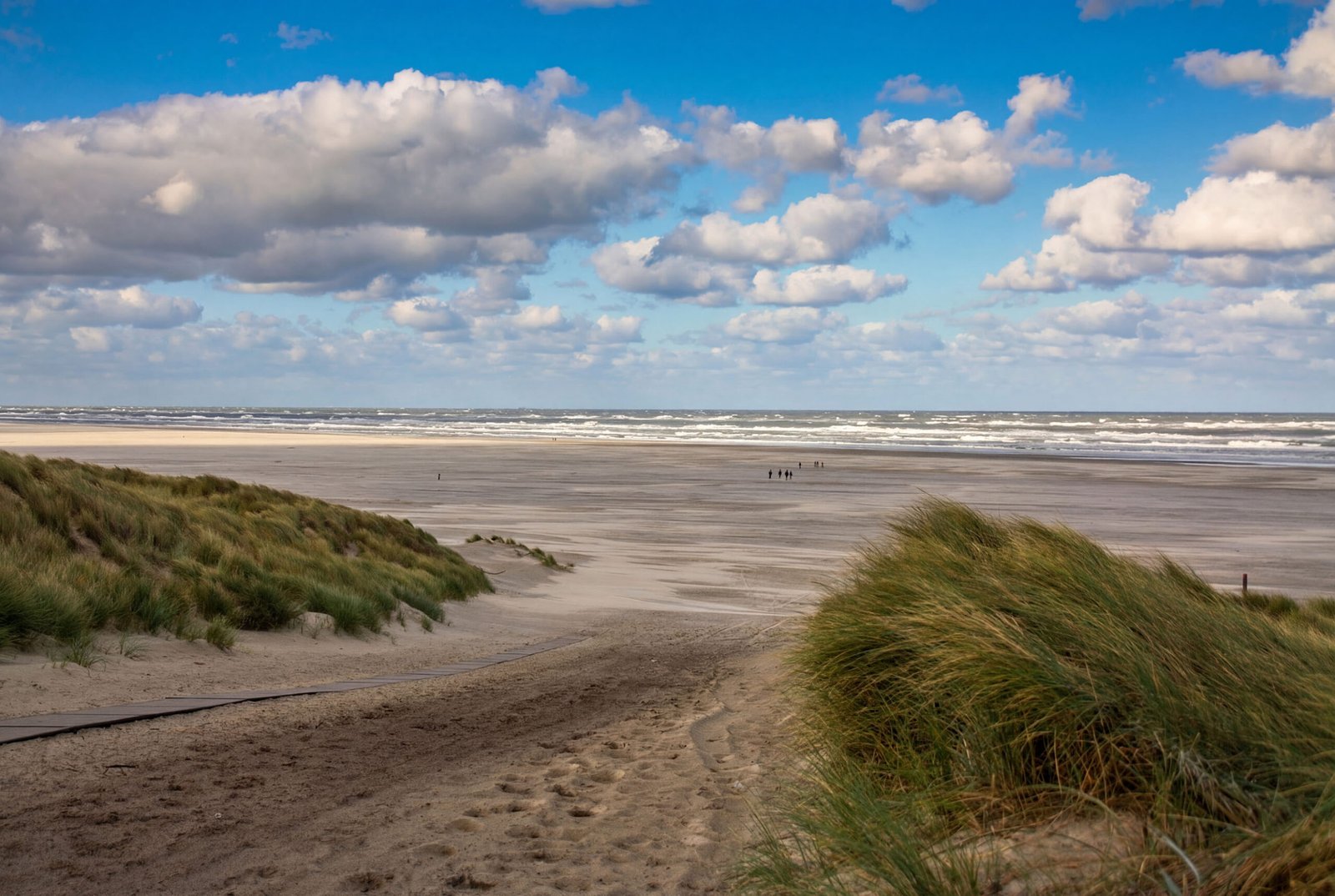 Dünen und Strand der Nordseeinsel Terschelling