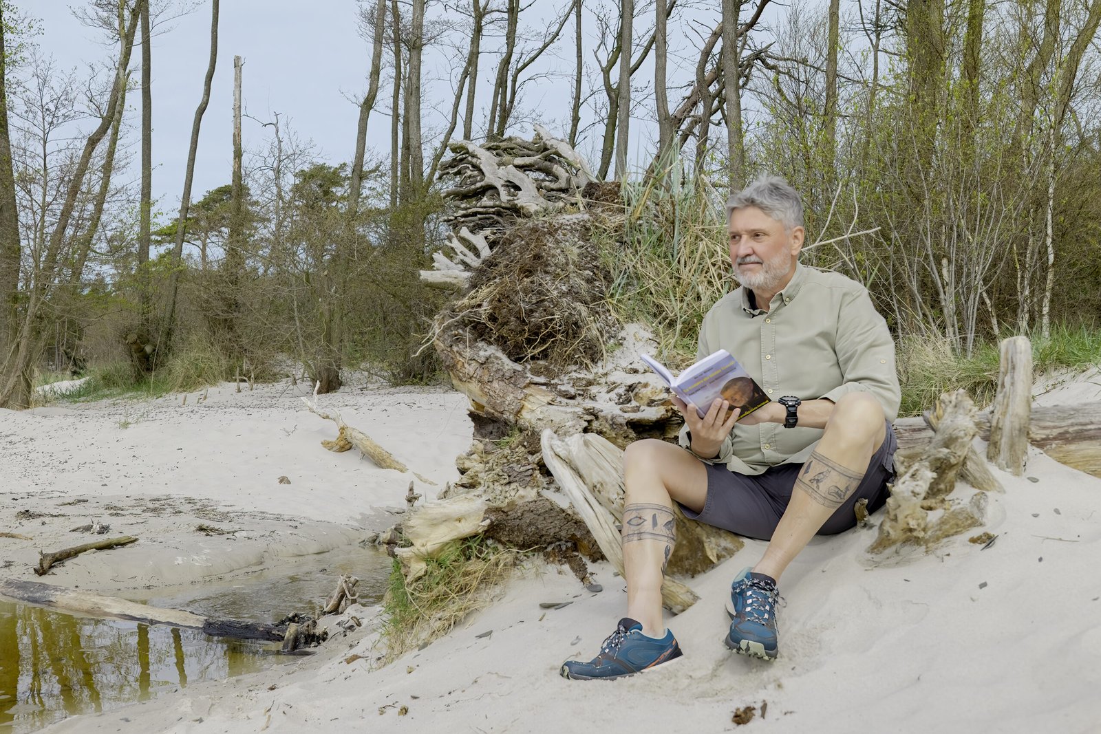 Weißer Sandstrand mit Baumresten. Ein Mann liest ein Buch.
